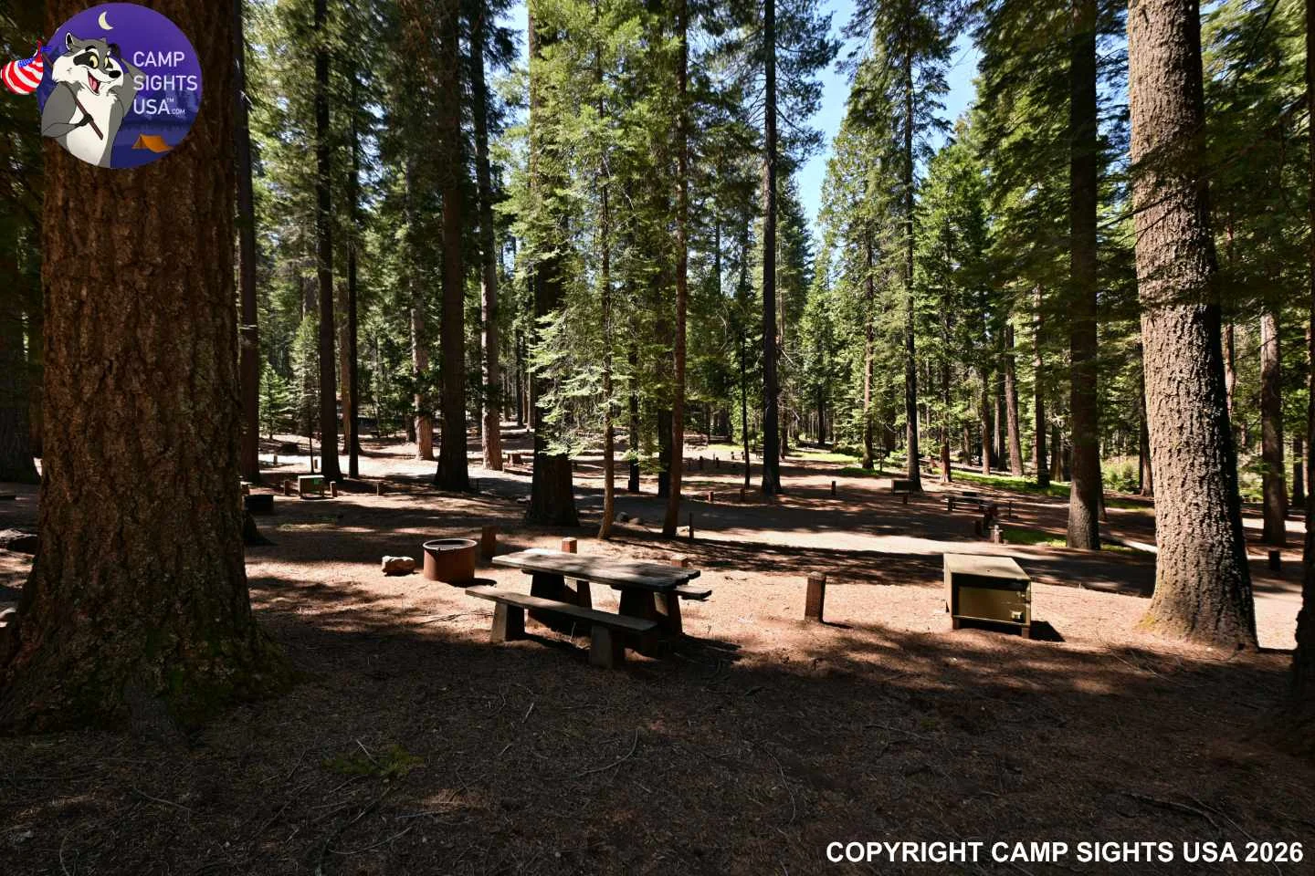 Calaveras Big Trees State Park #39
