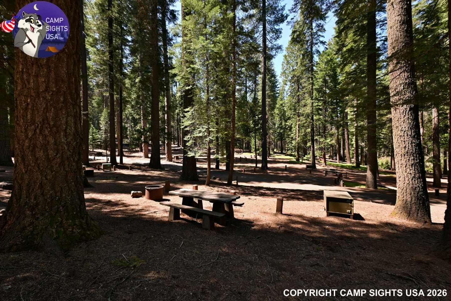 Calaveras Big Trees State Park #39
