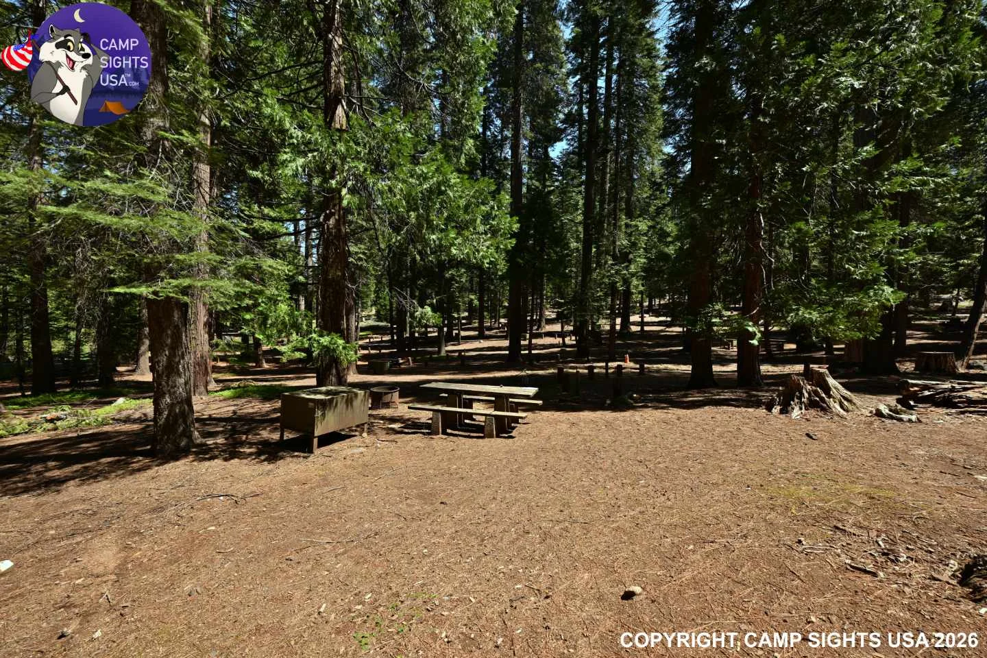 Calaveras Big Trees State Park #40