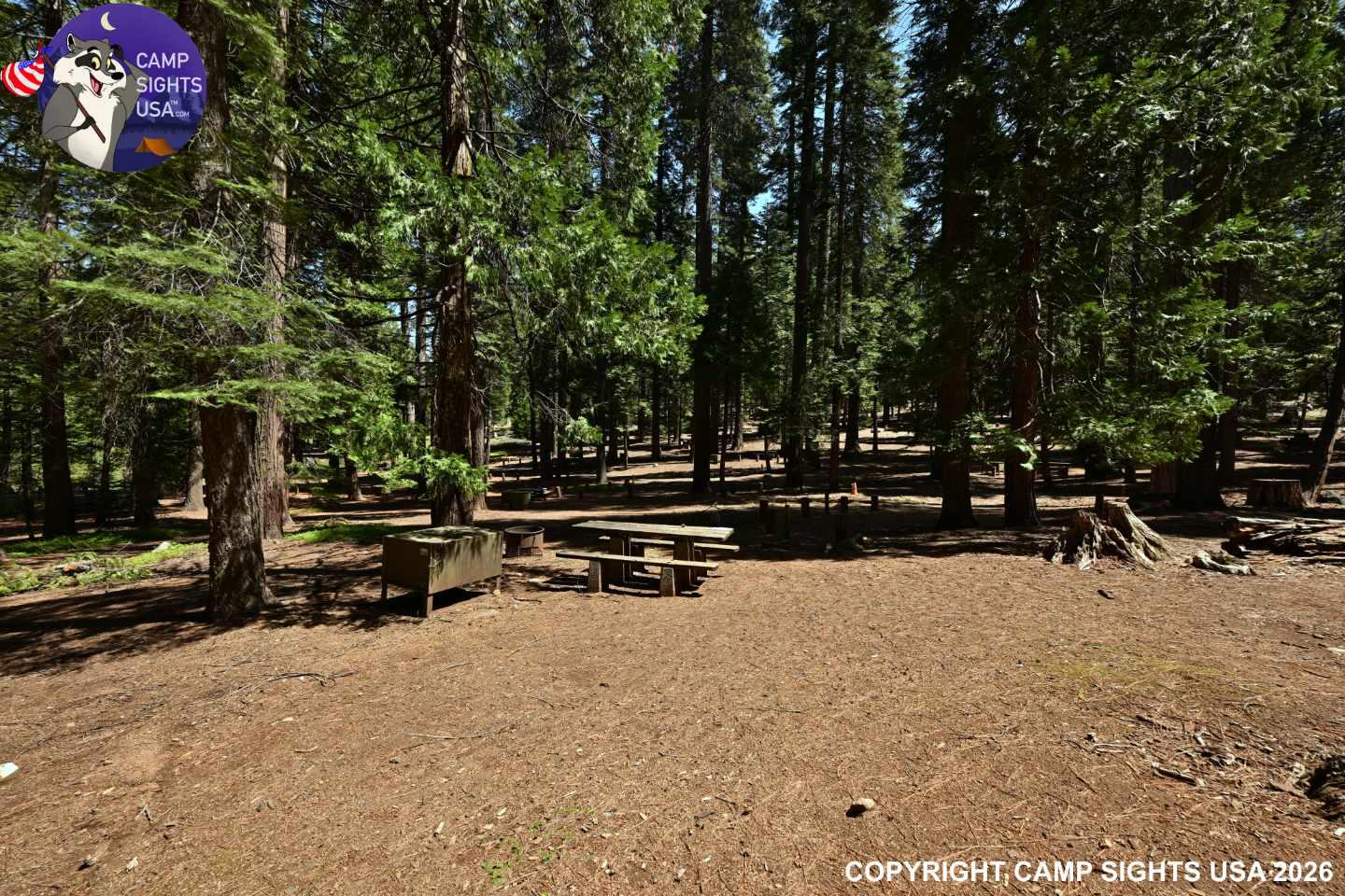Calaveras Big Trees State Park #40