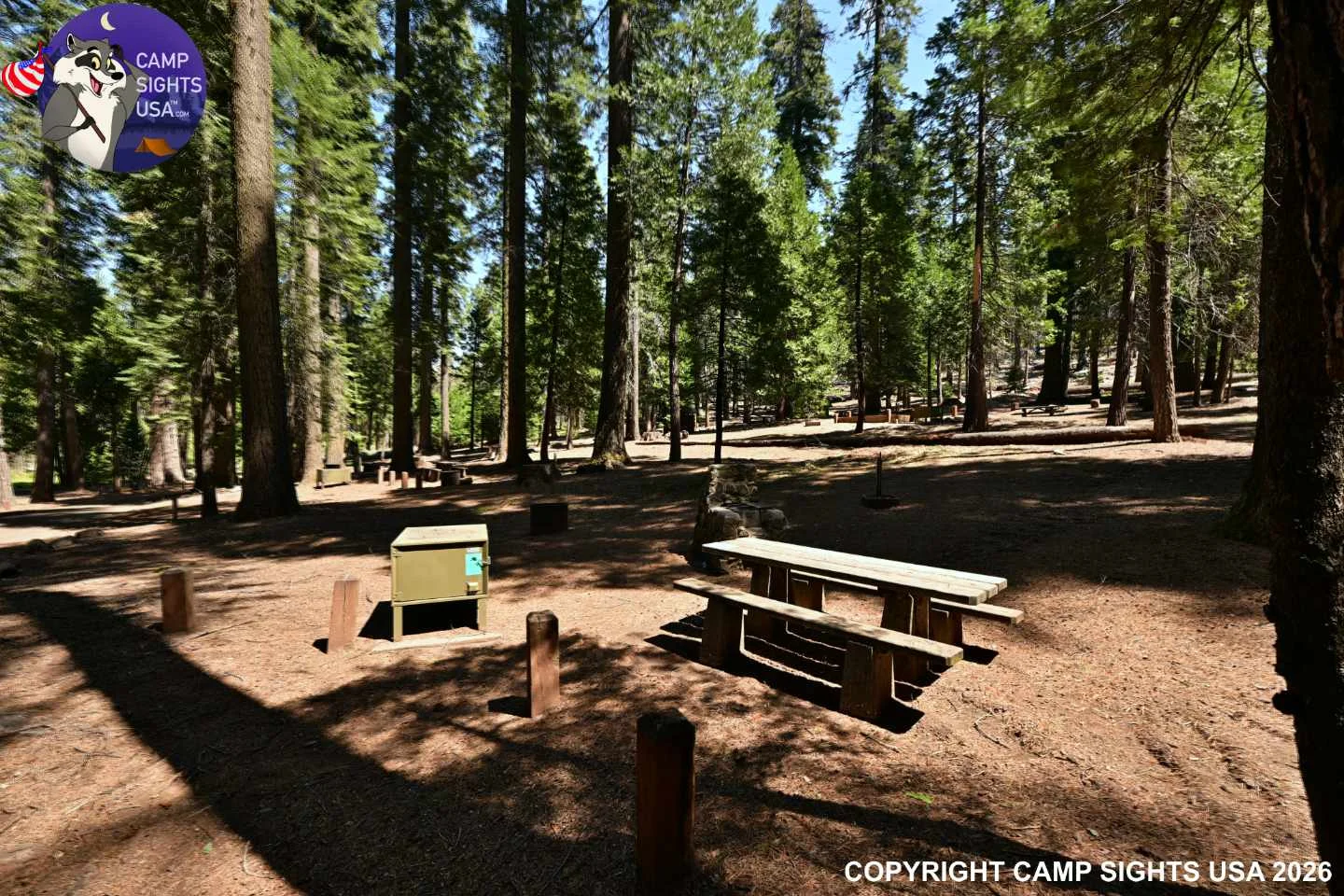 Calaveras Big Trees State Park #41