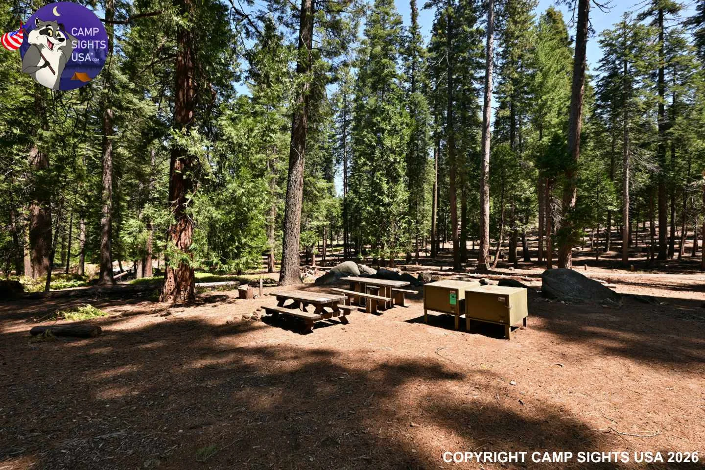 Calaveras Big Trees State Park #42
