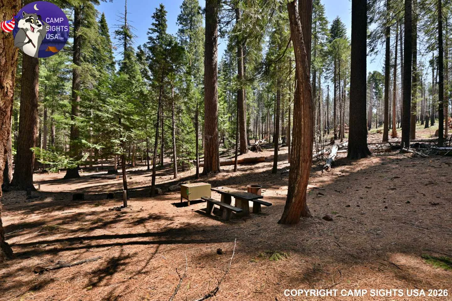 Calaveras Big Trees State Park #43