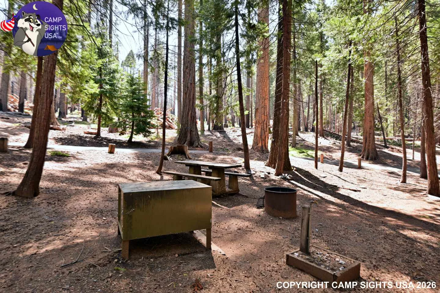 Calaveras Big Trees State Park #44