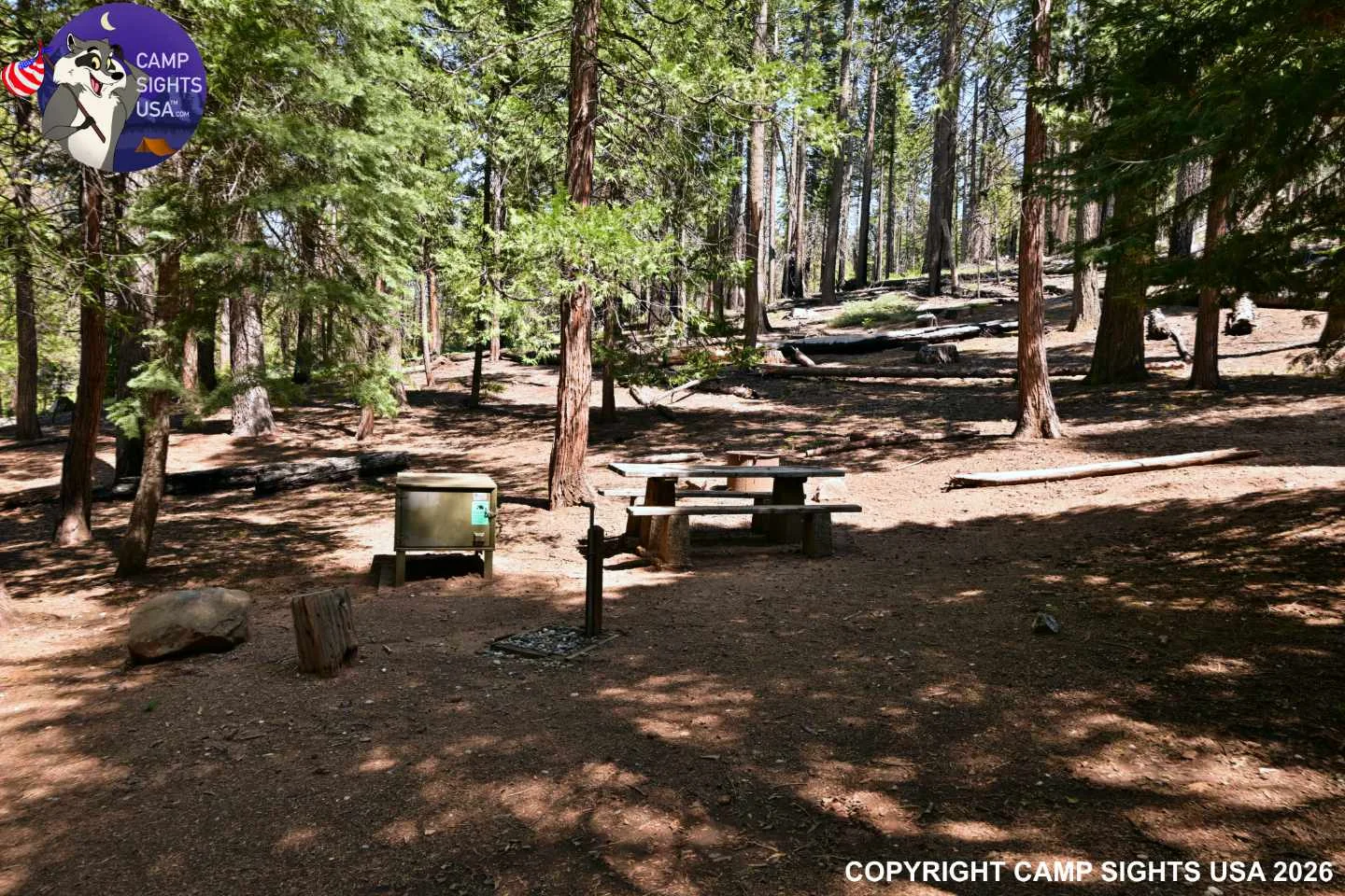 Calaveras Big Trees State Park #49