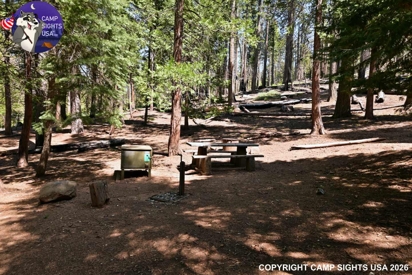 Calaveras Big Trees State Park #49