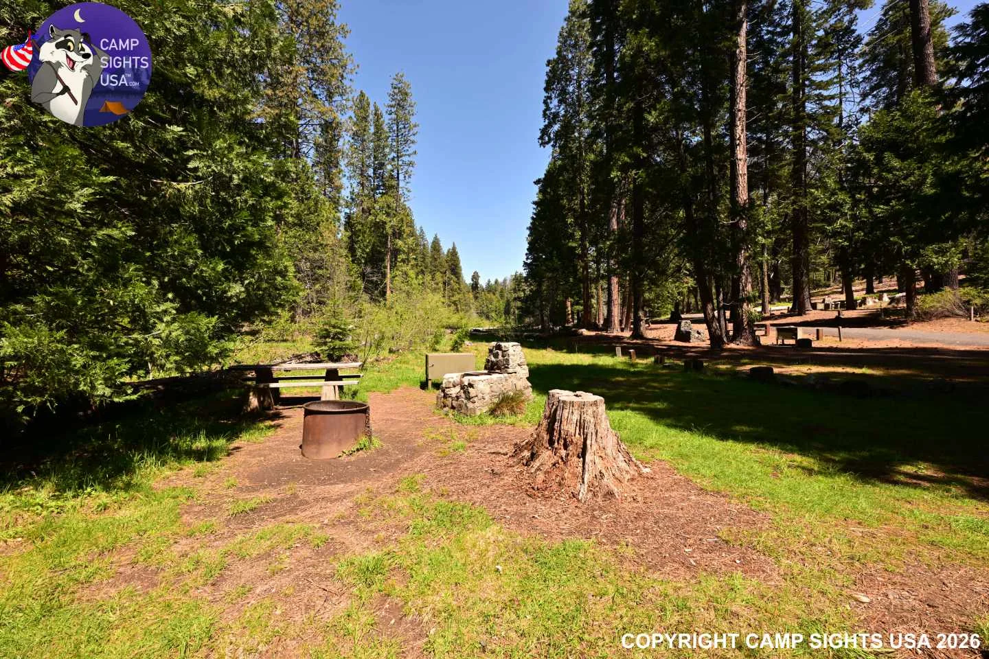Calaveras Big Trees State Park #52