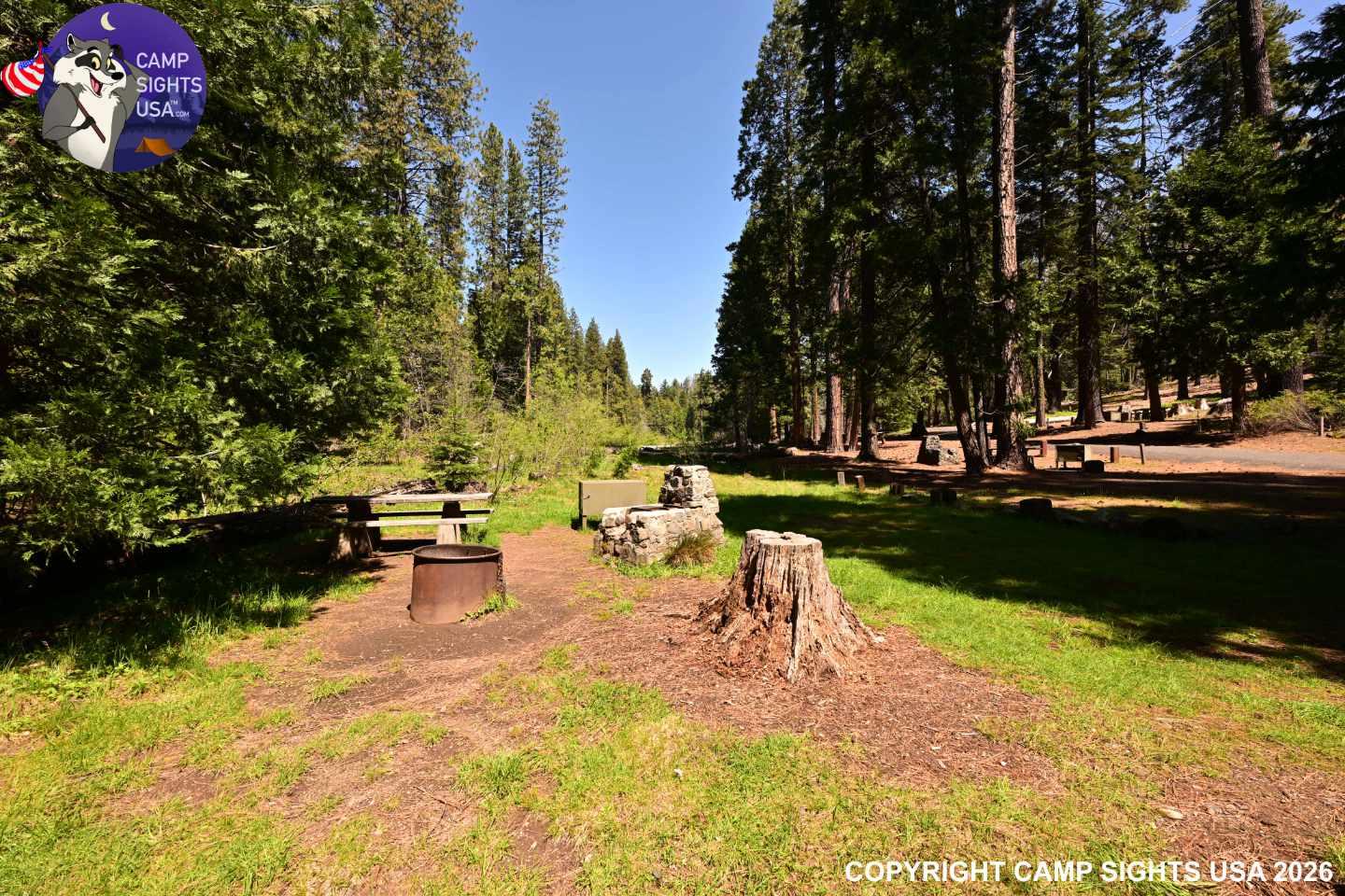 Calaveras Big Trees State Park #52