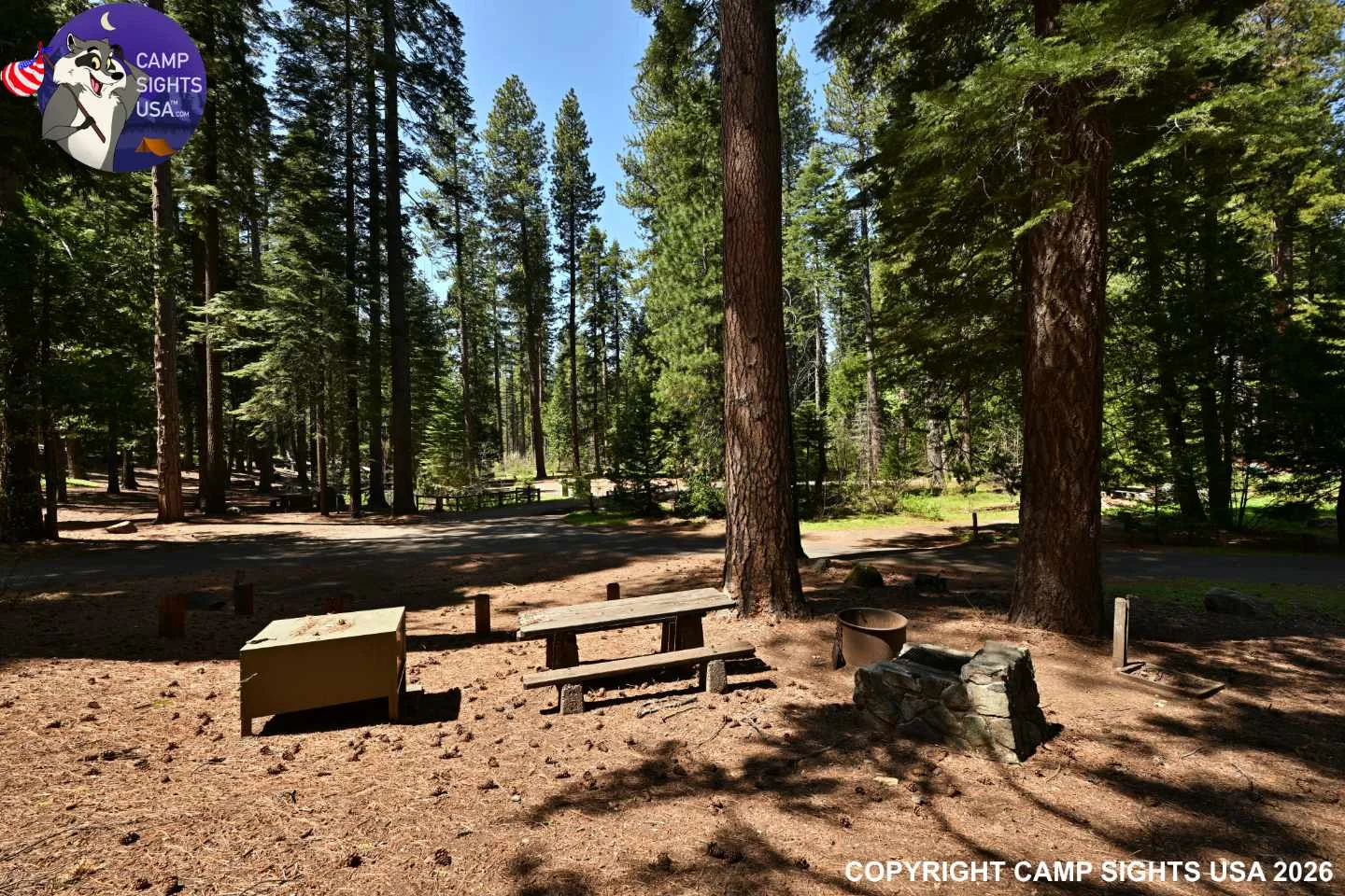 Calaveras Big Trees State Park #51