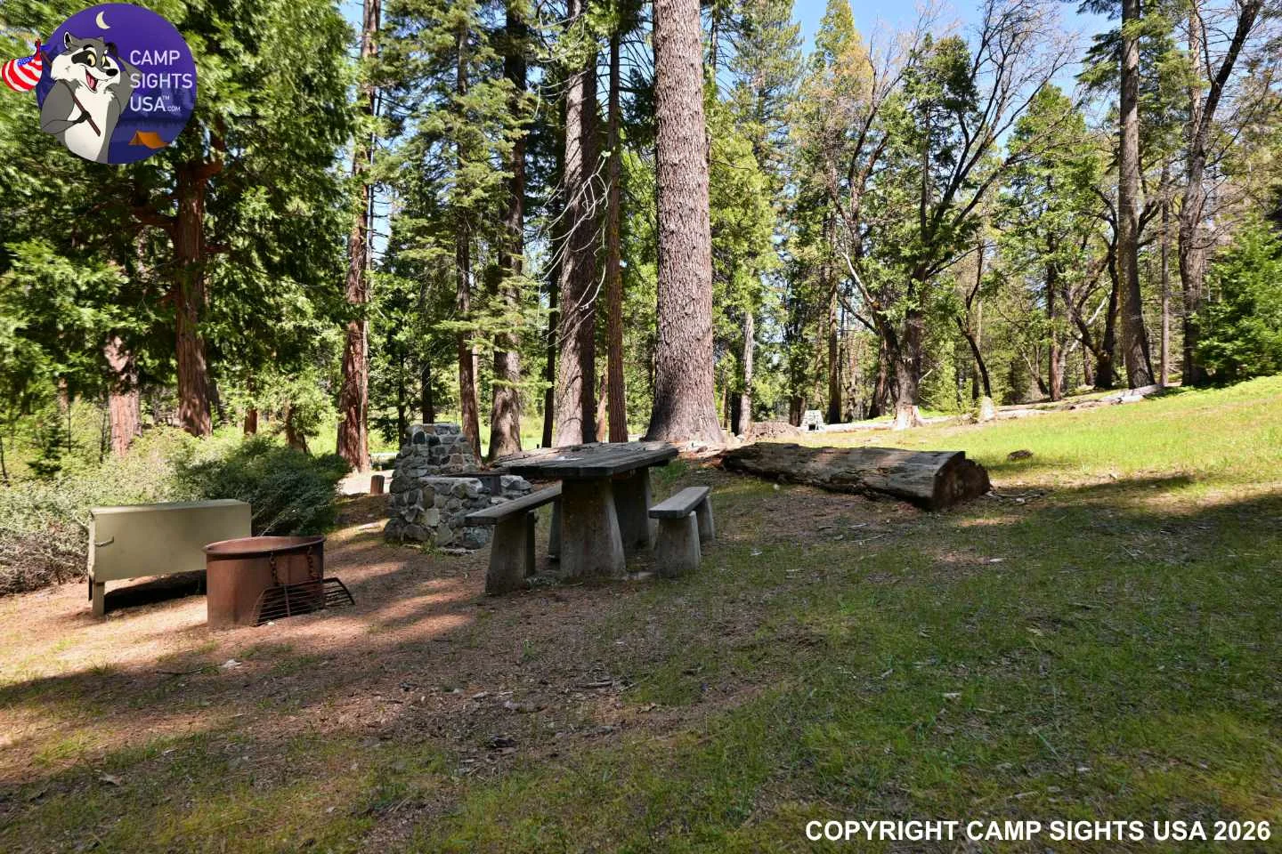 Calaveras Big Trees State Park #53