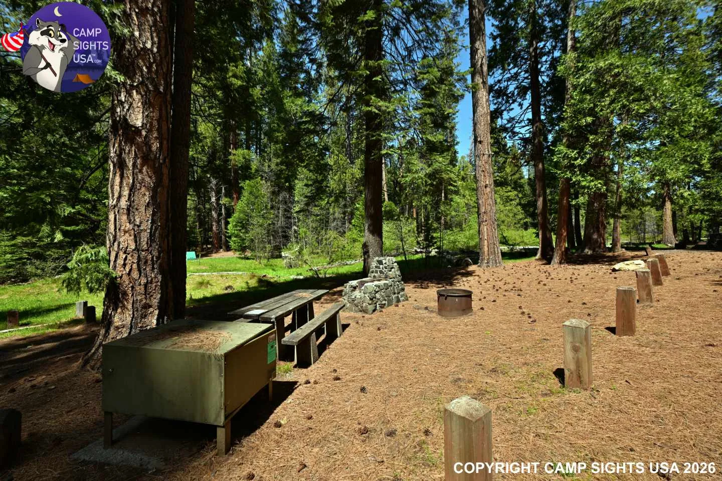 Calaveras Big Trees State Park #54