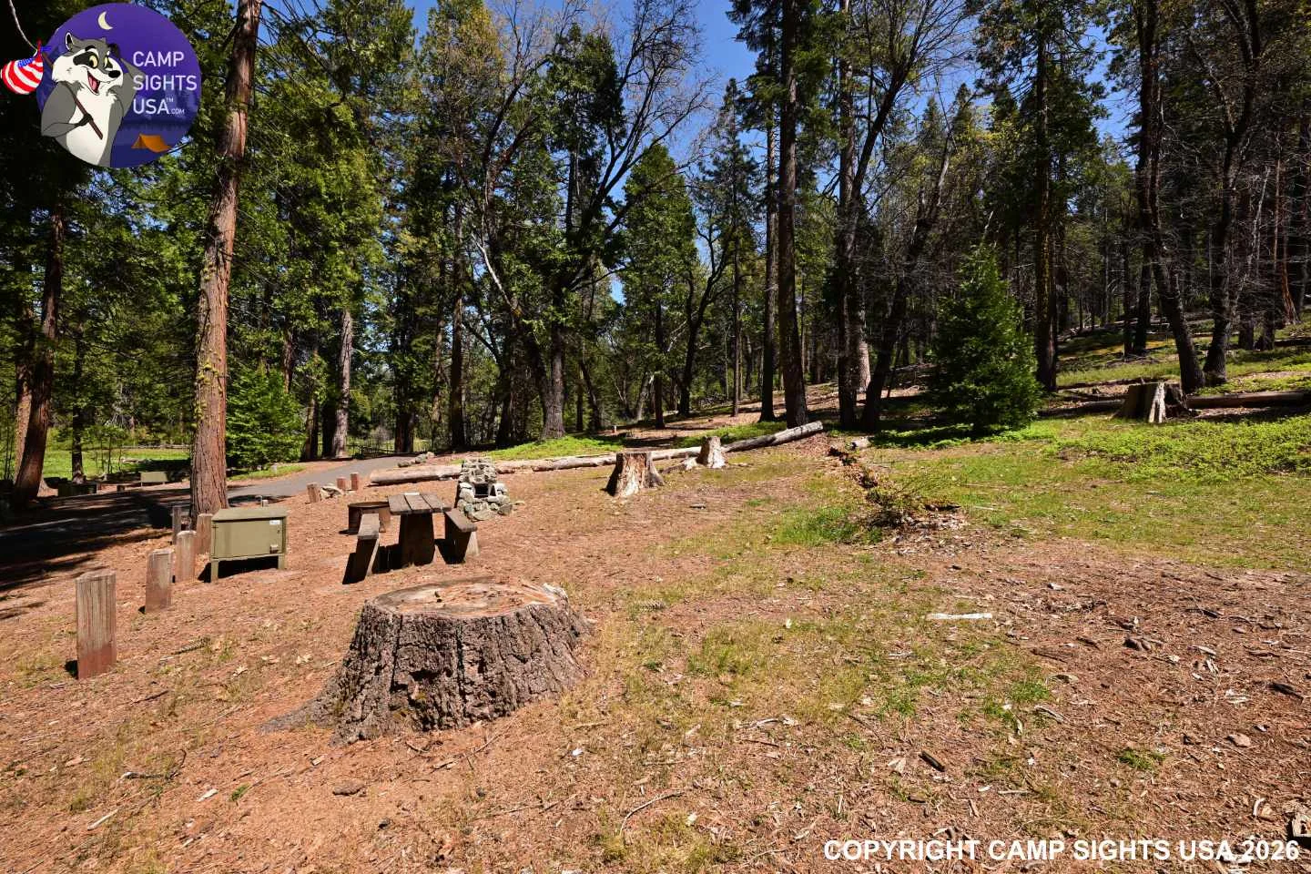 Calaveras Big Trees State Park #55