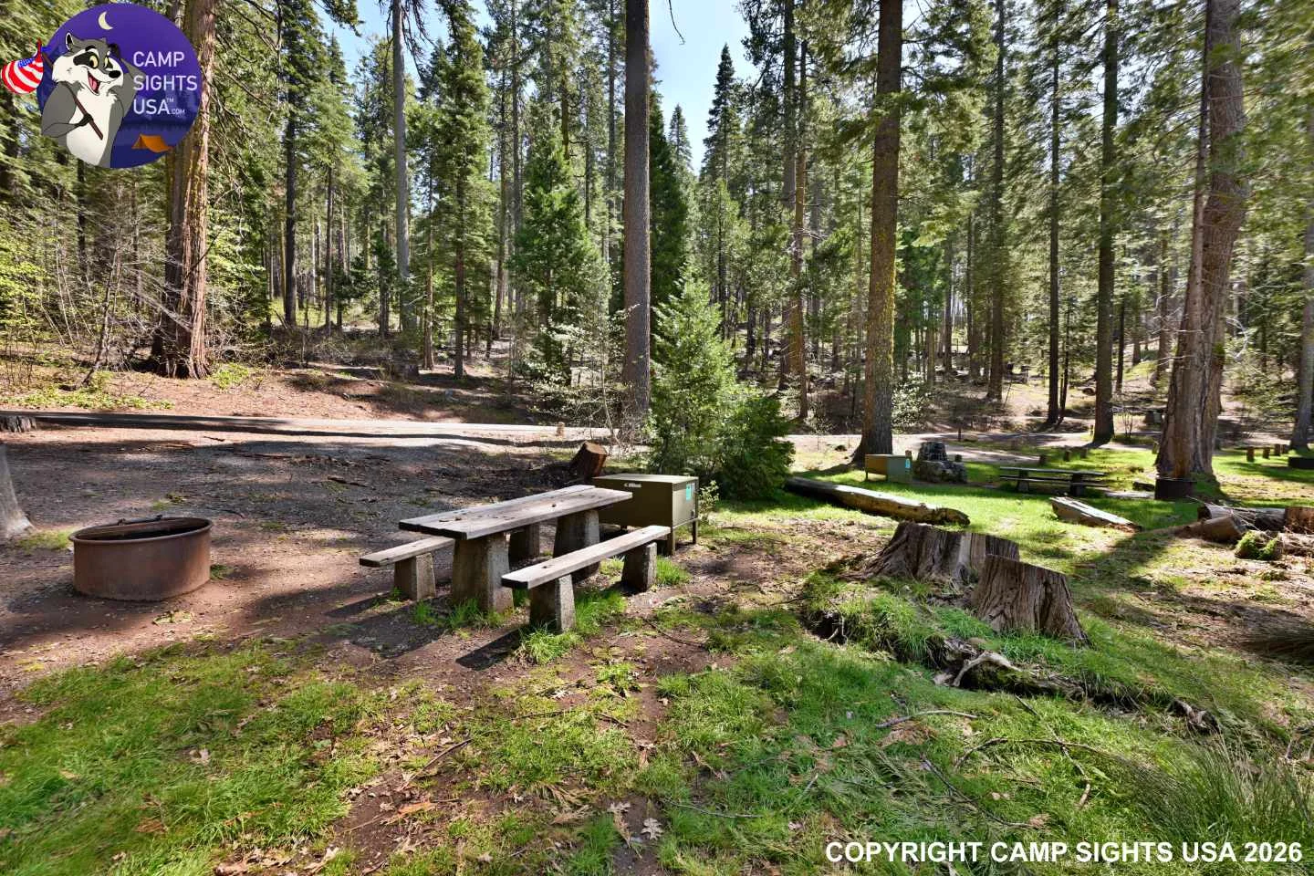 Calaveras Big Trees State Park #63