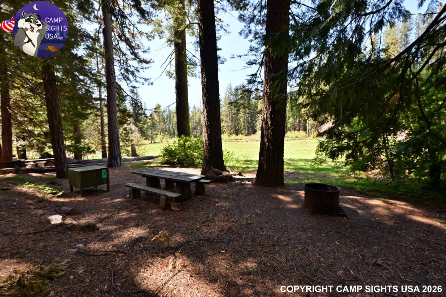 Calaveras Big Trees State Park #65