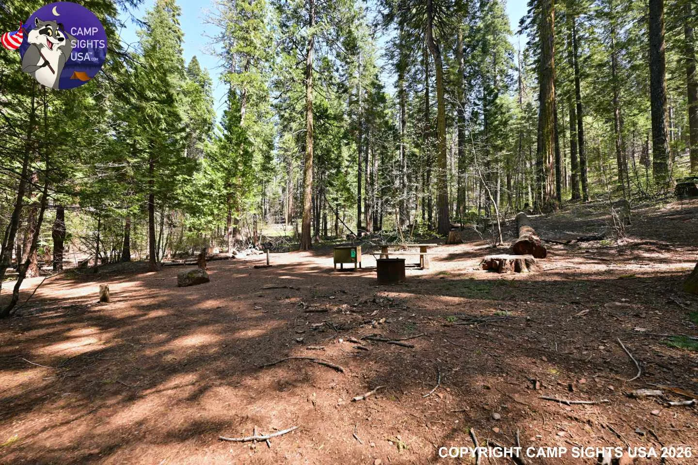 Calaveras Big Trees State Park #70