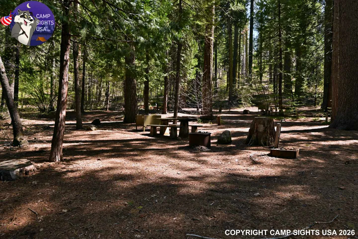 Calaveras Big Trees State Park #71