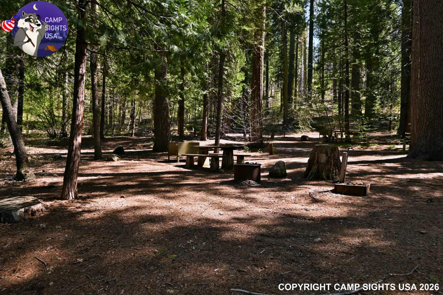 Calaveras Big Trees State Park #71