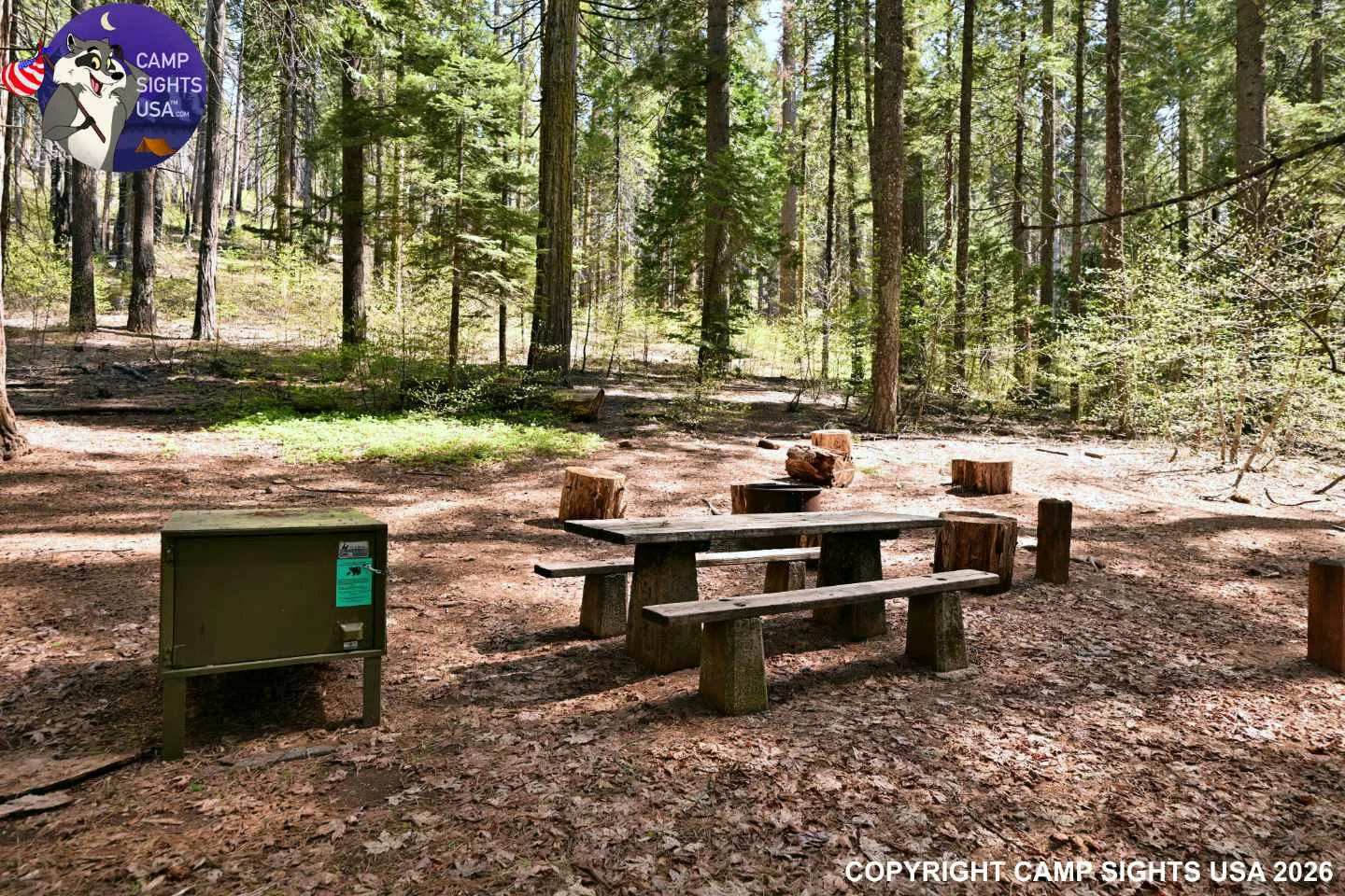 Calaveras Big Trees State Park #74