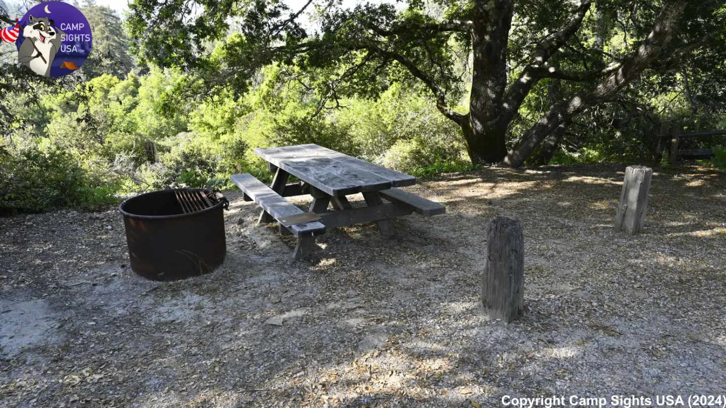 Henry Cowell State Park #72