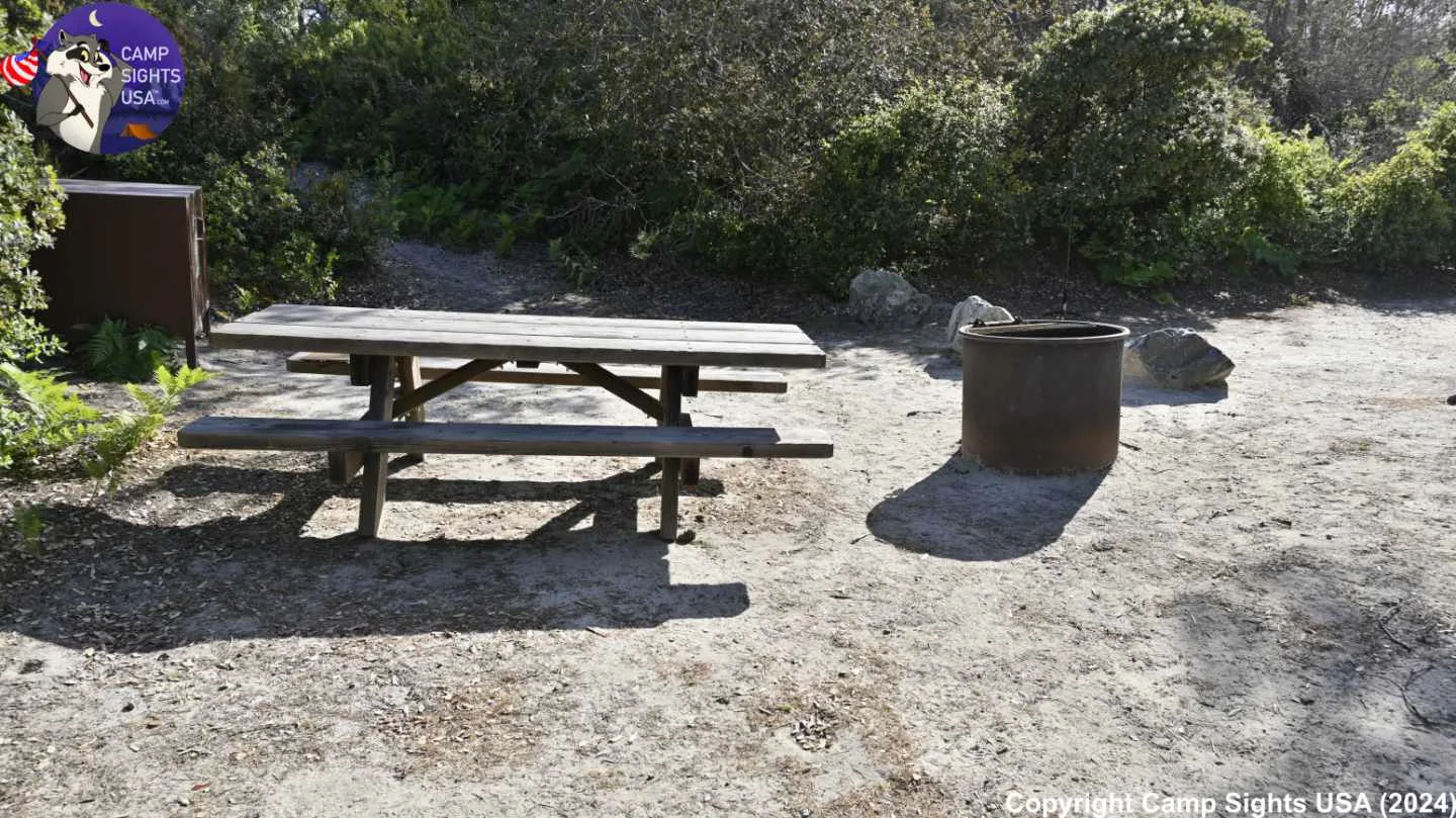 Henry Cowell State Park #73