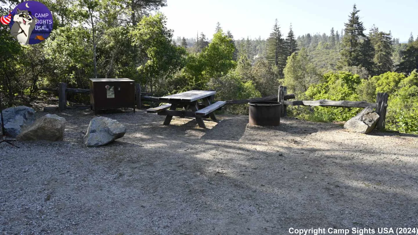 Henry Cowell State Park #74