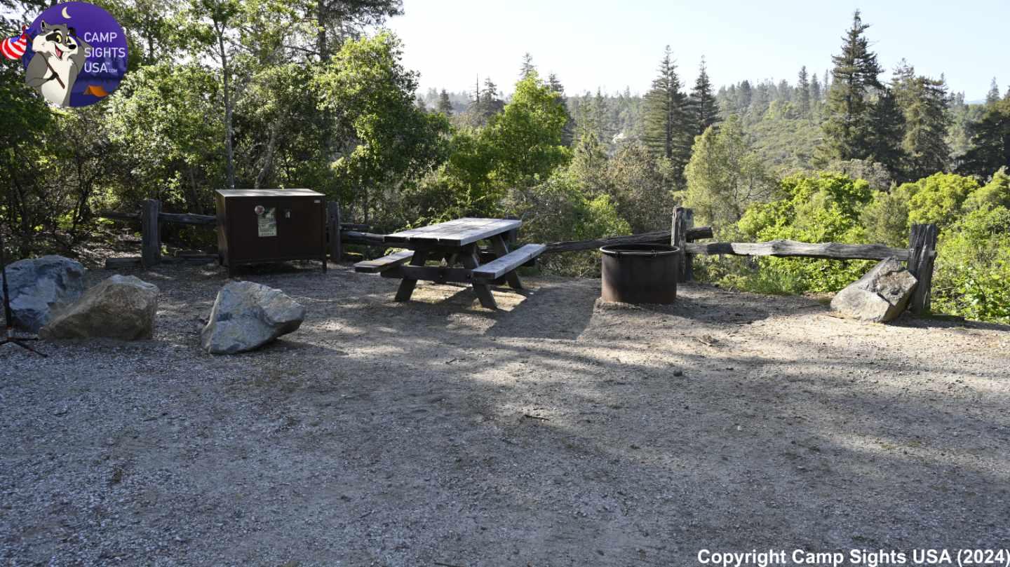 Henry Cowell State Park #74