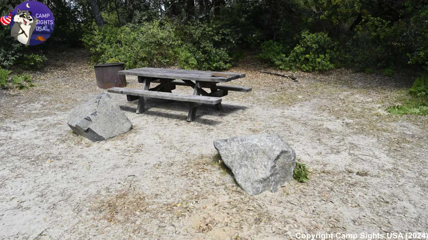 Henry Cowell State Park #77