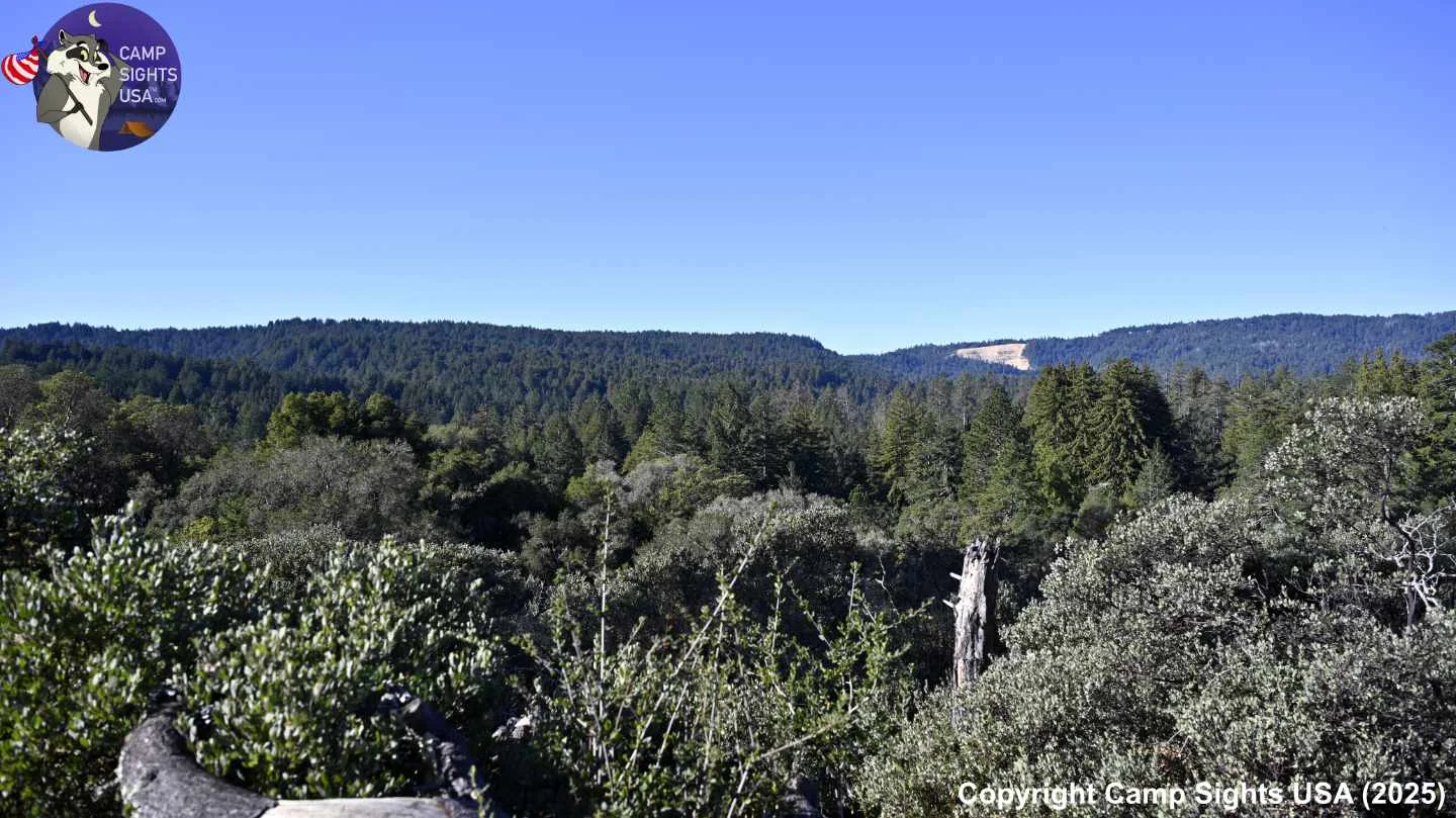 Henry Cowell State Park #78