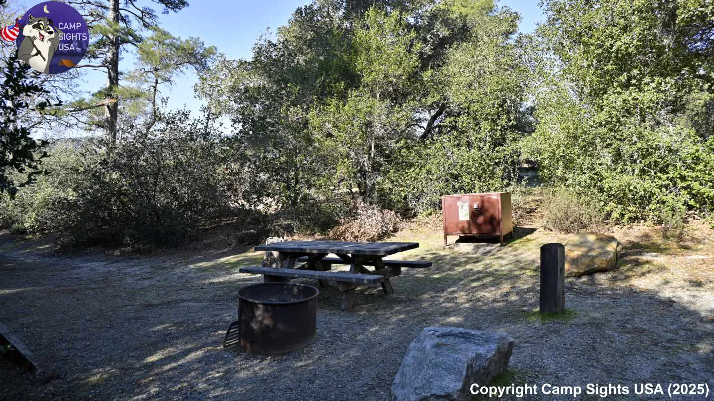 Henry Cowell State Park #80