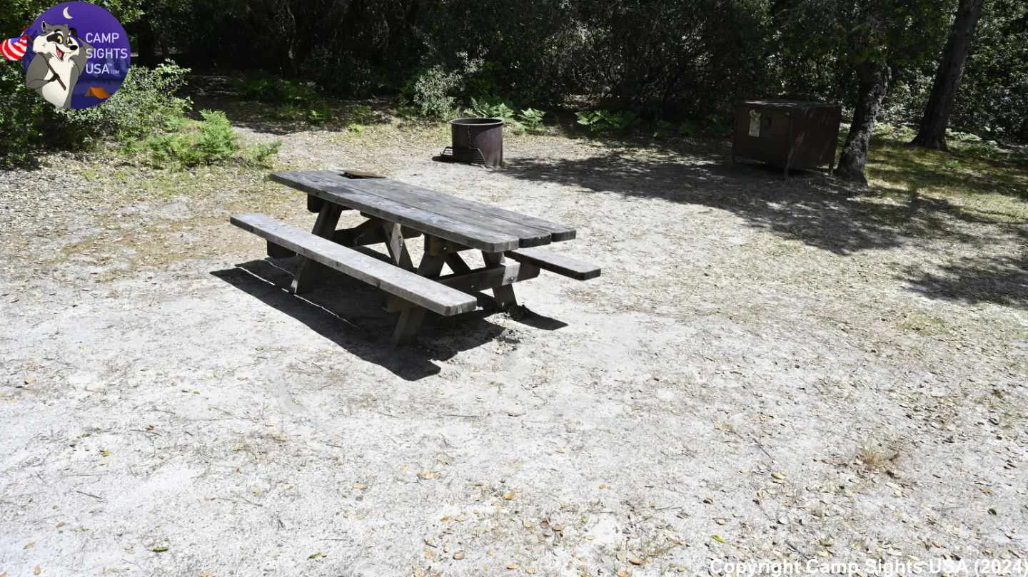 Henry Cowell State Park #81