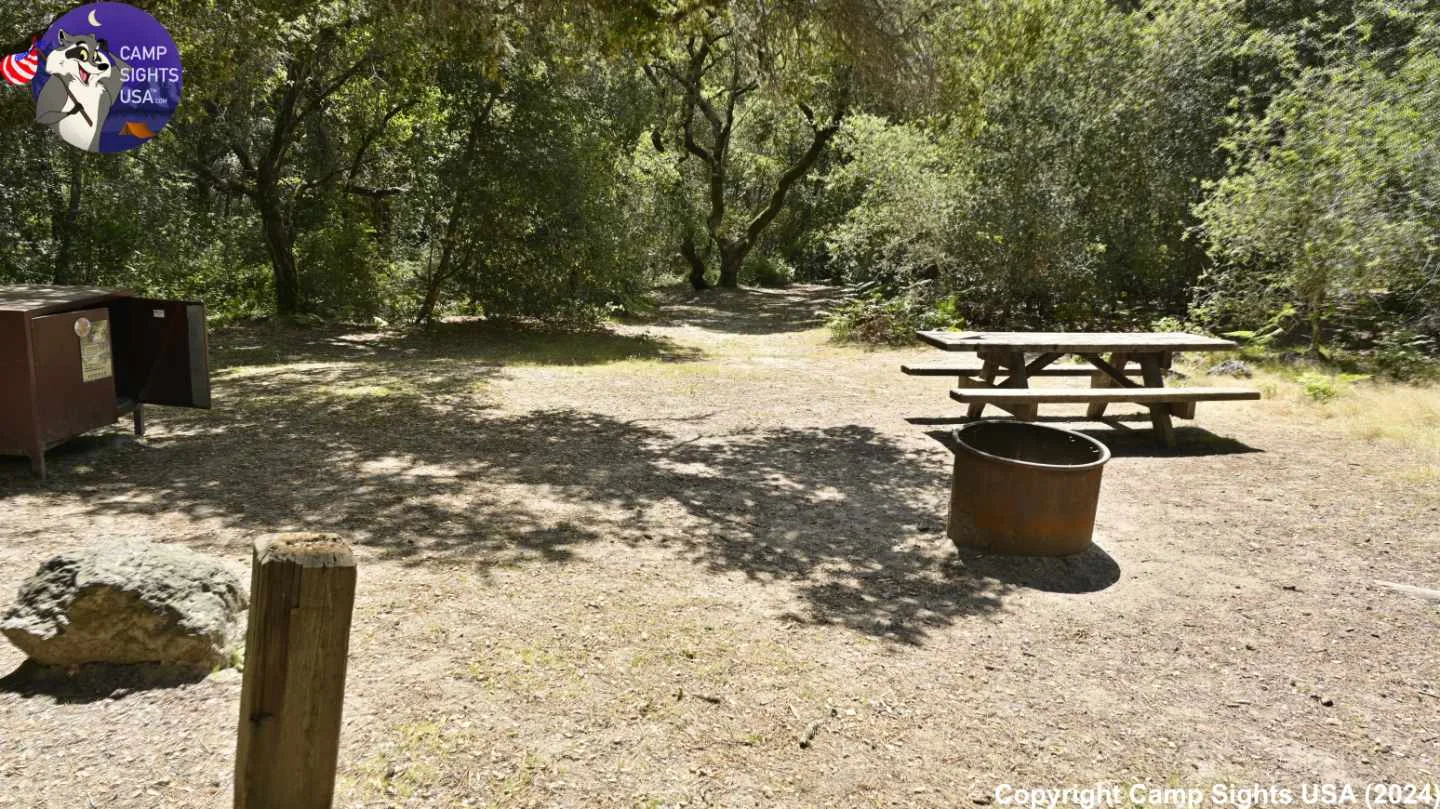 Henry Cowell State Park #82
