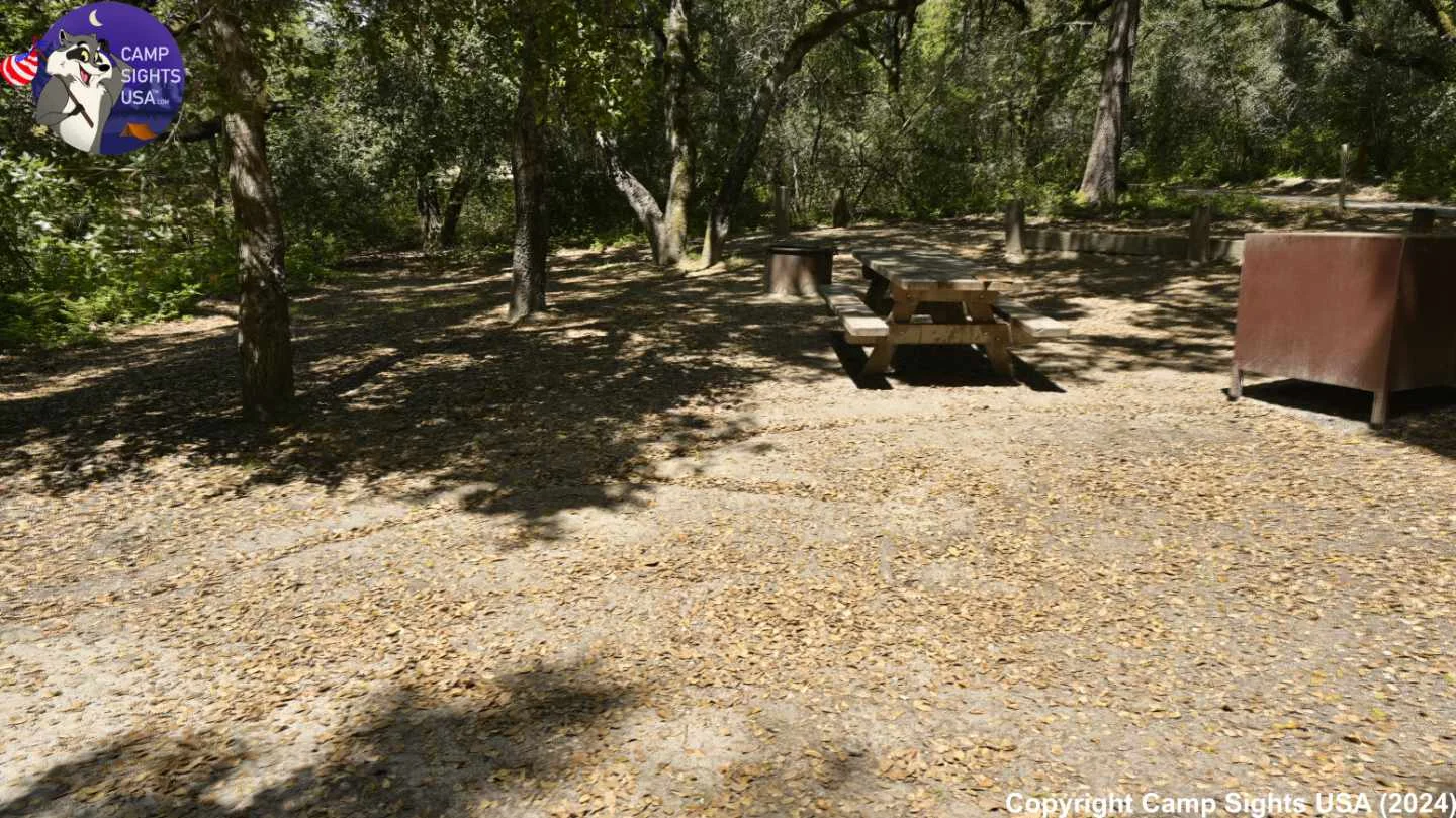 Henry Cowell State Park #84