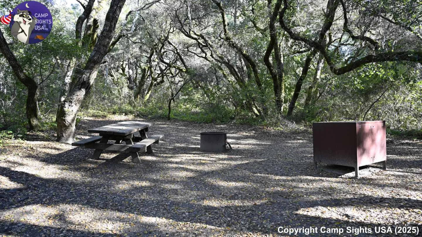 Henry Cowell State Park #85