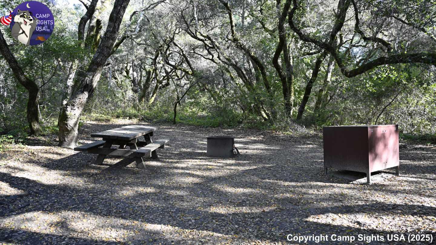 Henry Cowell State Park #85