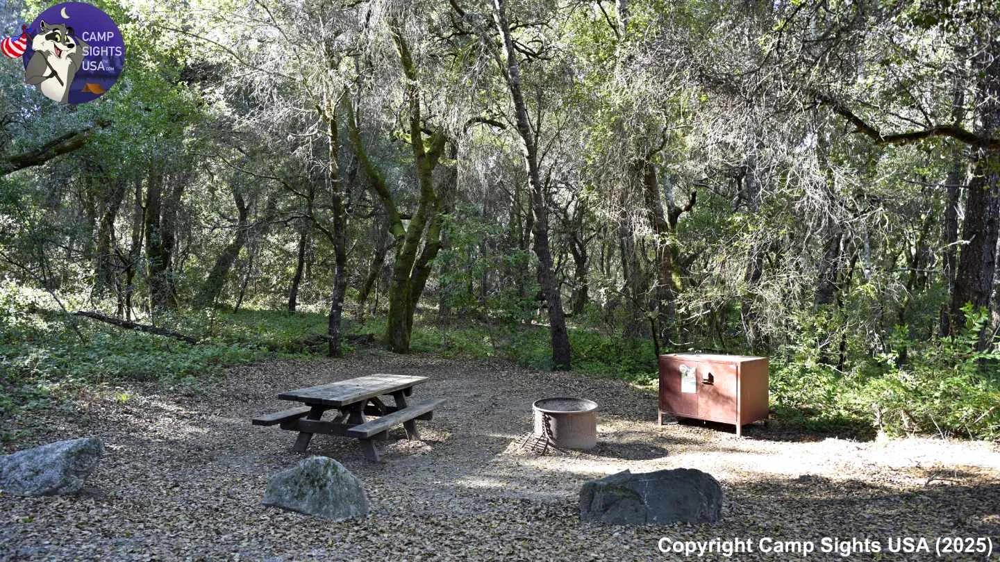 Henry Cowell State Park #86