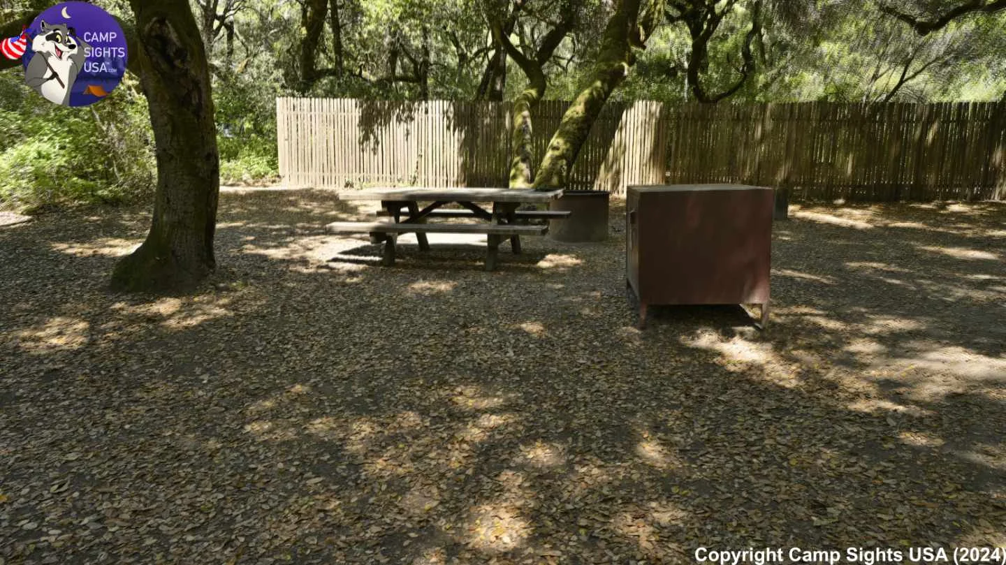 Henry Cowell State Park #87
