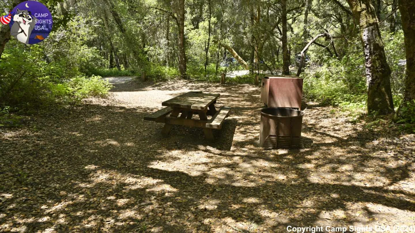 Henry Cowell State Park #88