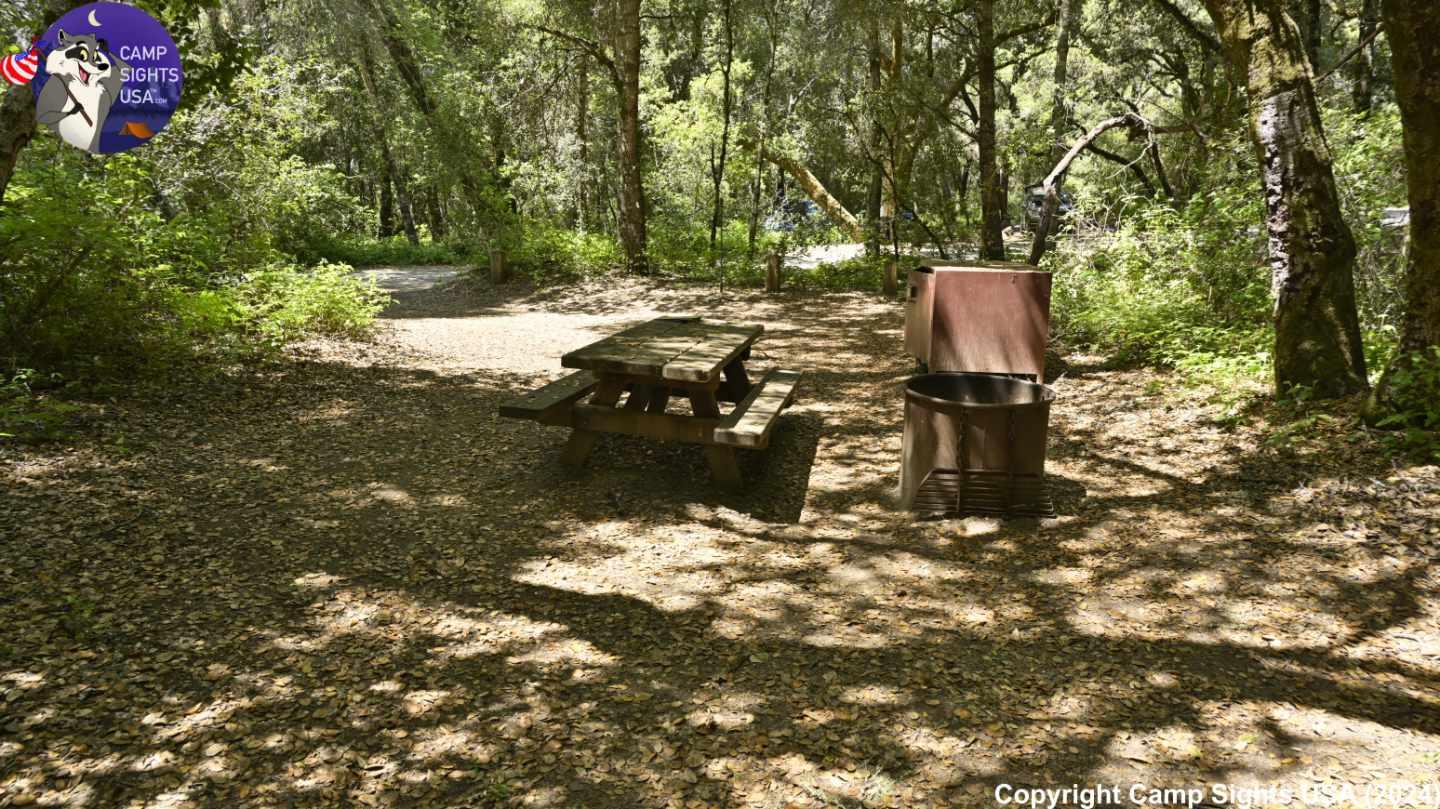 Henry Cowell State Park #88