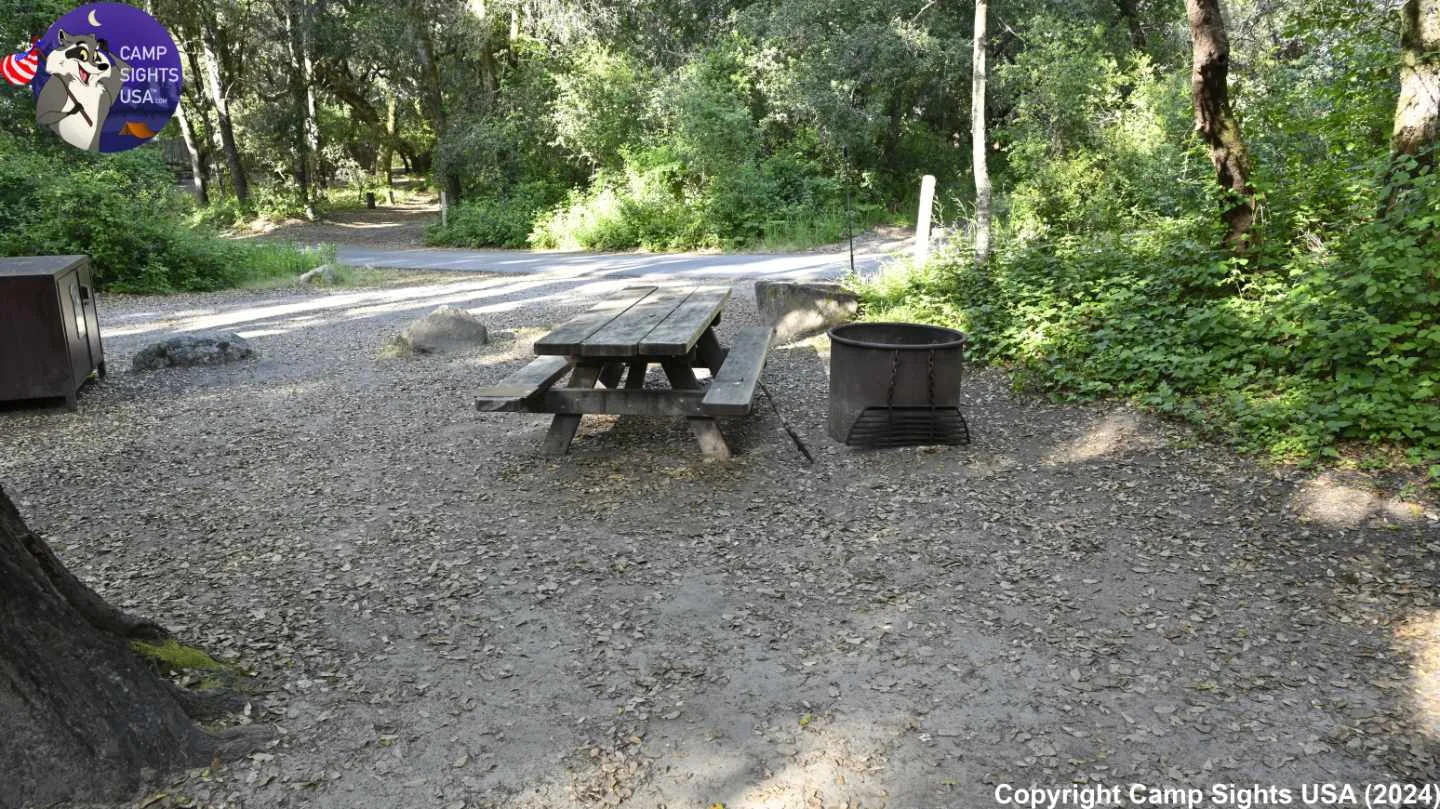 Henry Cowell State Park #89