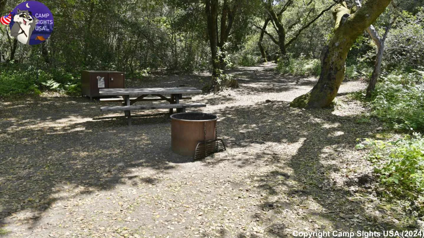Henry Cowell State Park #90