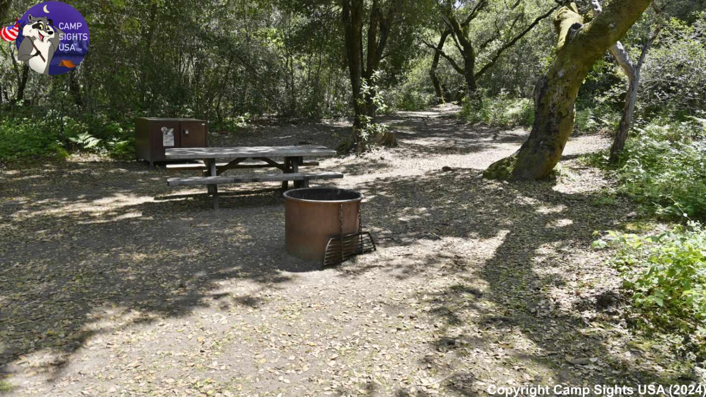 Henry Cowell State Park #90
