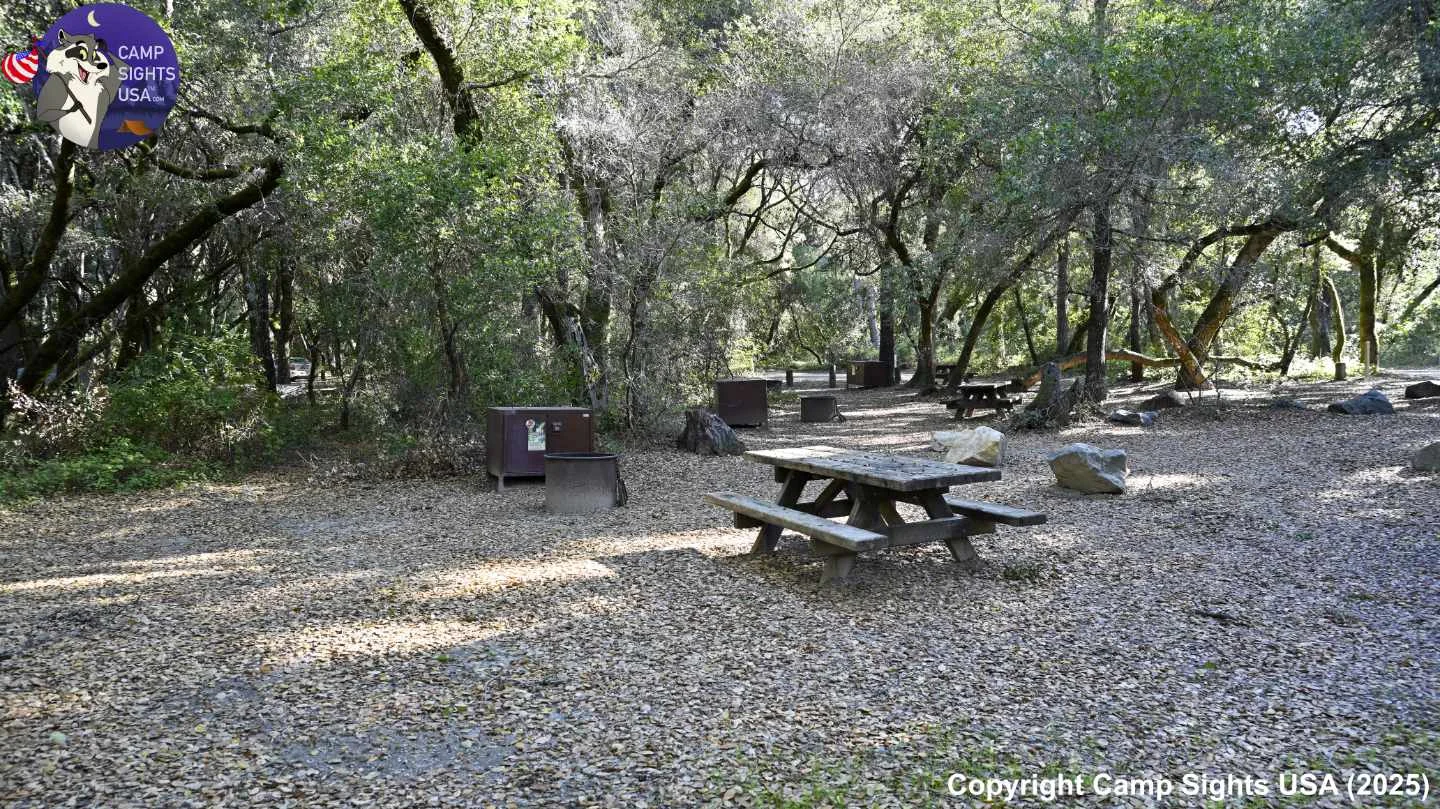 Henry Cowell State Park #91