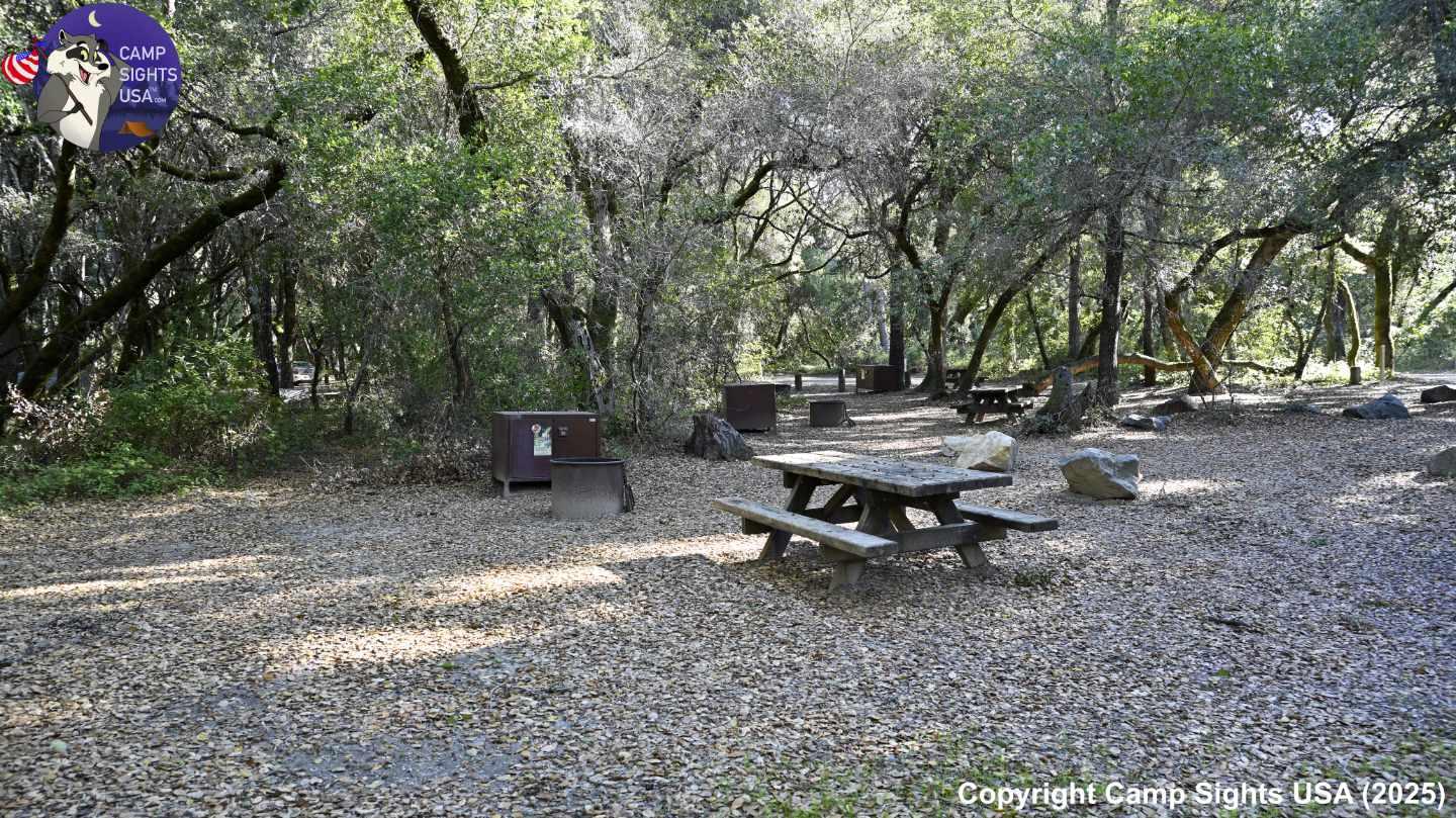 Henry Cowell State Park #91