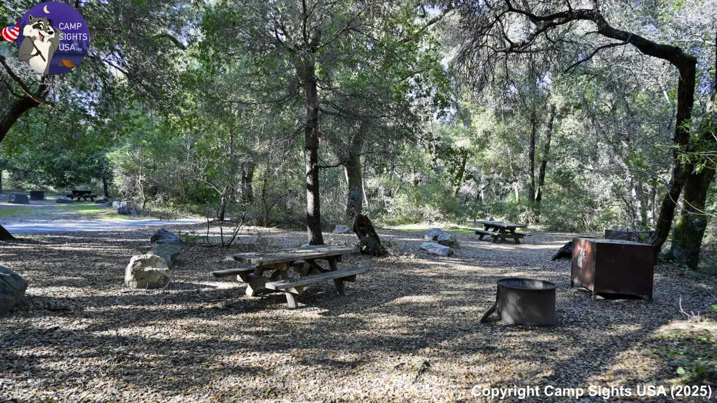 Henry Cowell State Park #92