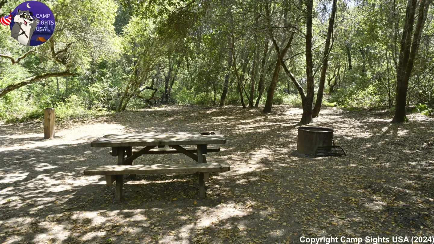 Henry Cowell State Park #93