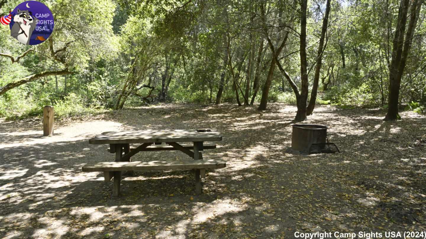 Henry Cowell State Park #93