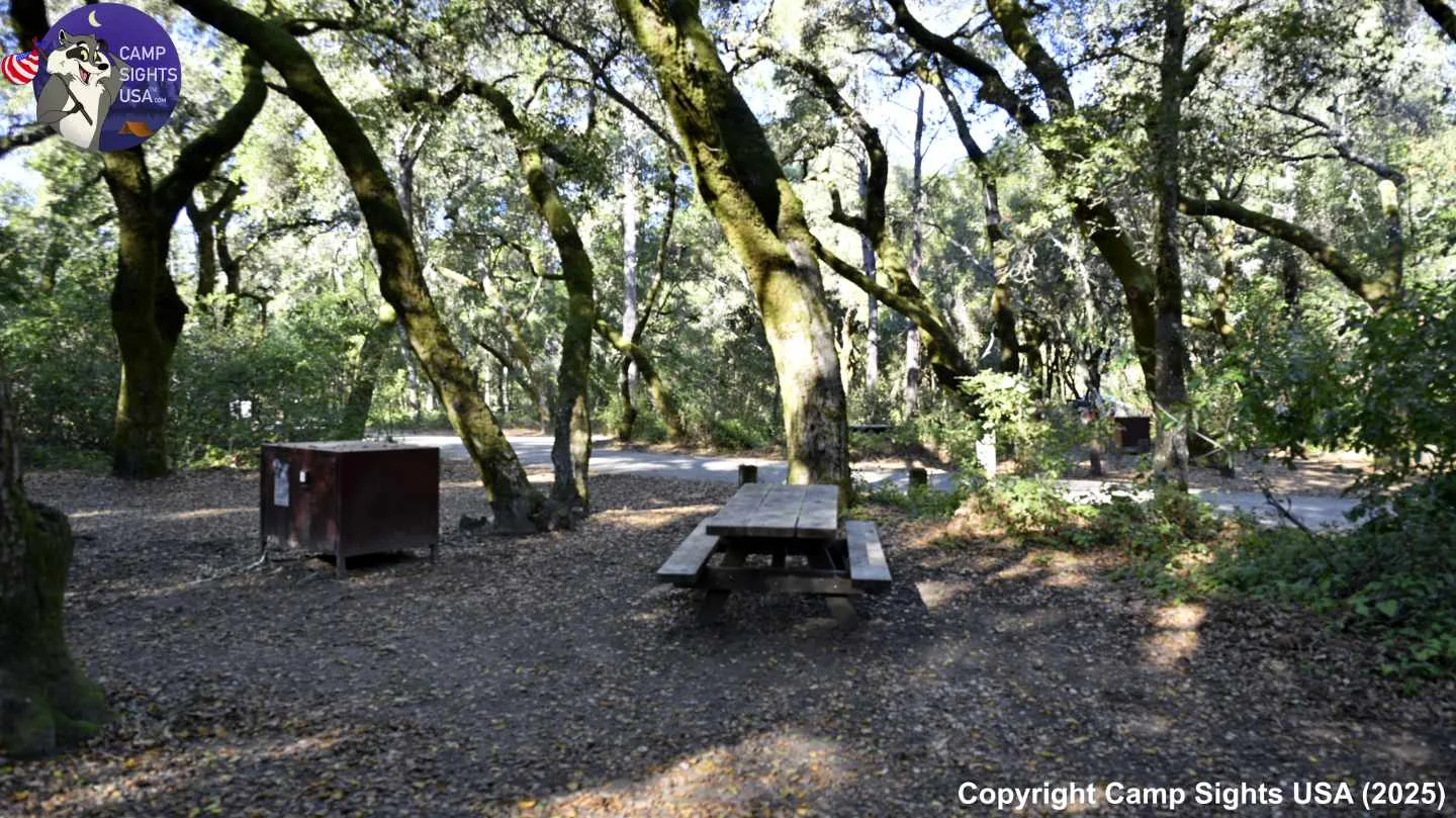 Henry Cowell State Park #94