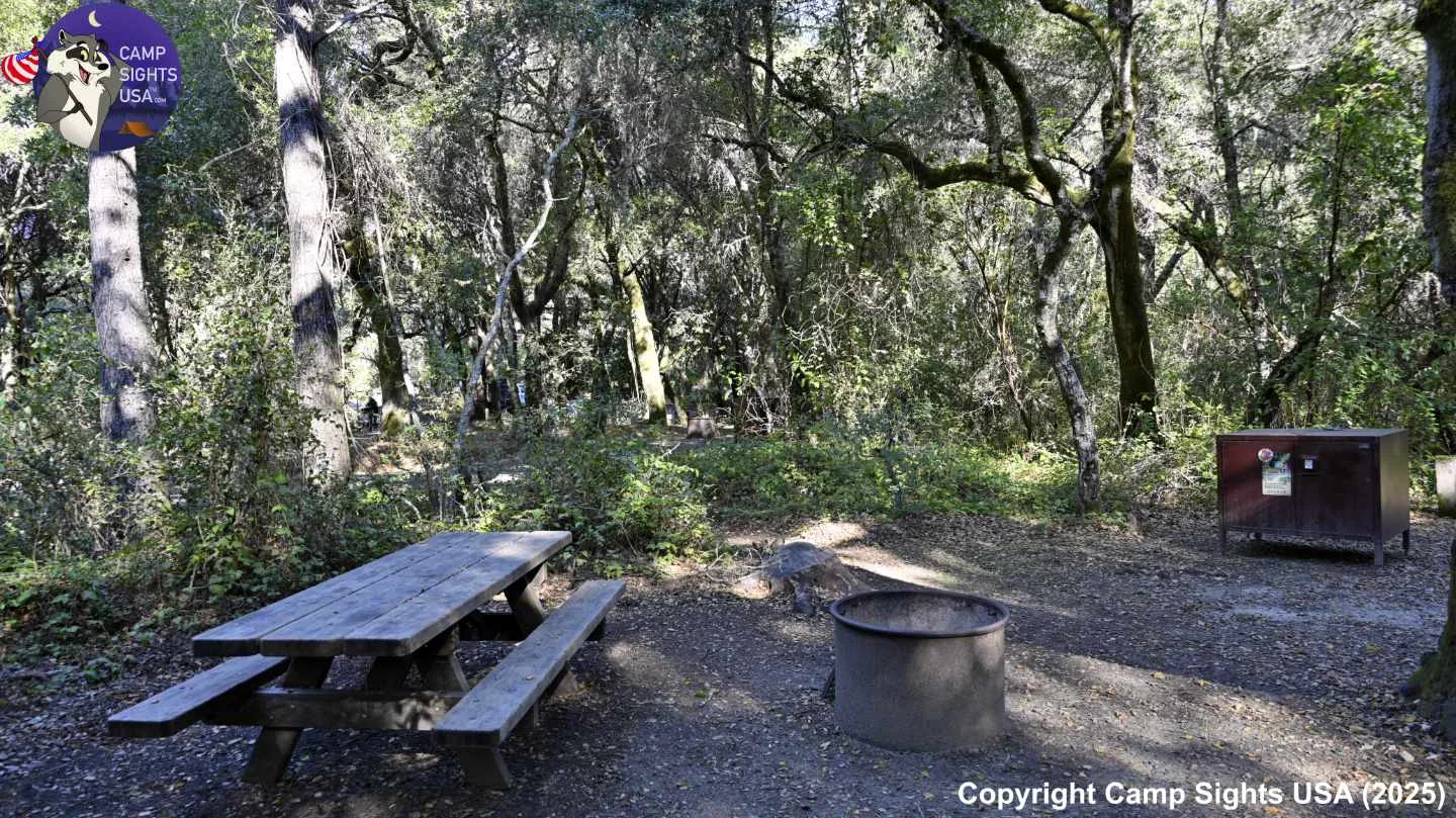 Henry Cowell State Park #95