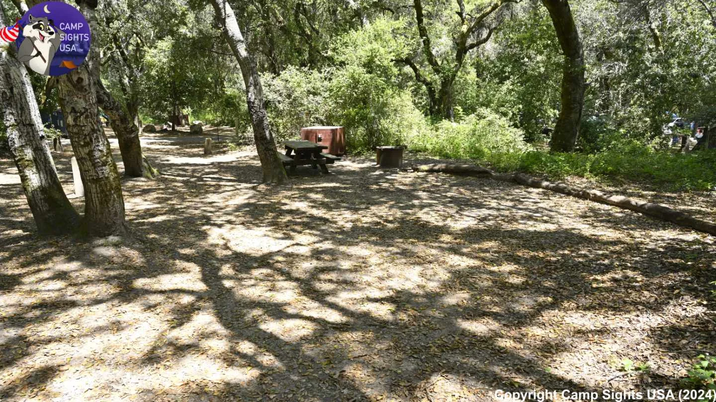 Henry Cowell State Park #96