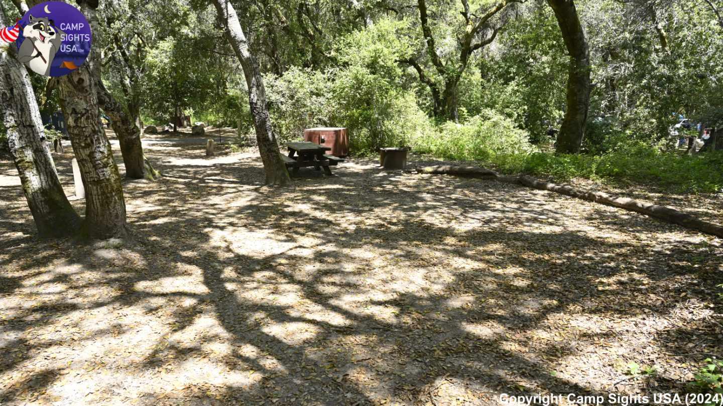 Henry Cowell State Park #96